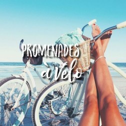 9e3e06821111f8bdd160702db95fd137